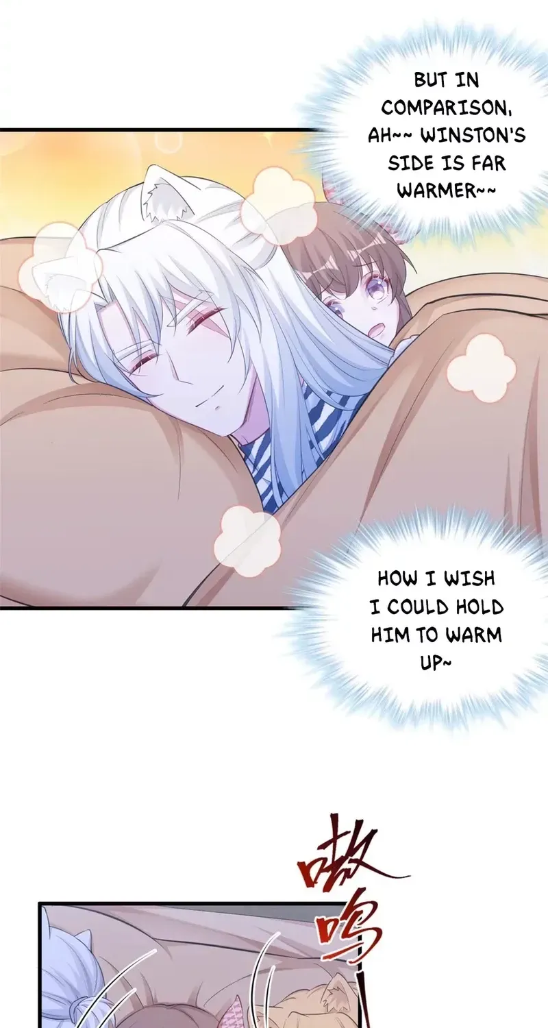 Read Beauty And The Beasts chapter 402 image 3 on Lezhin