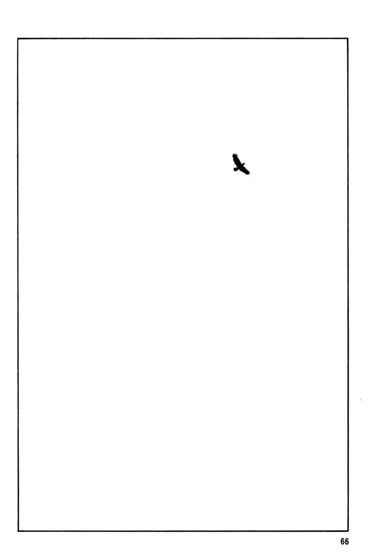 Read Beck chapter 43 image 67 on Lezhin