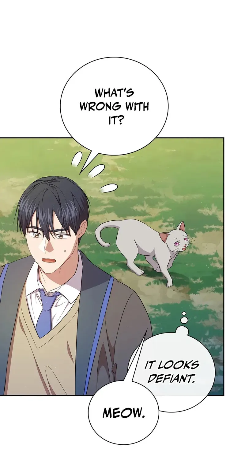 Becoming a Magic School Mage Chapter 125 page 64 - 