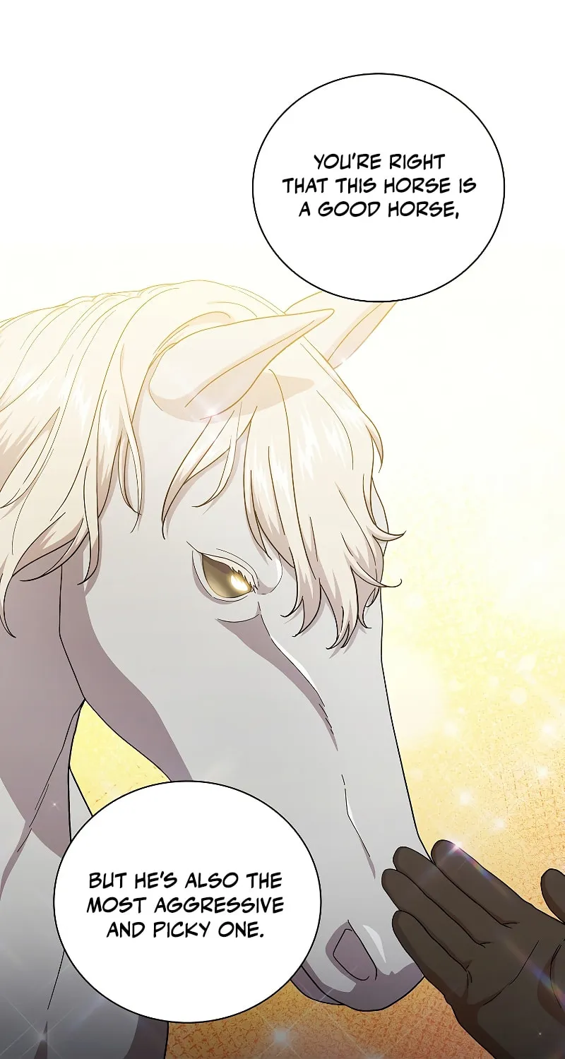 Becoming a Magic School Mage Chapter 36 page 22 - 