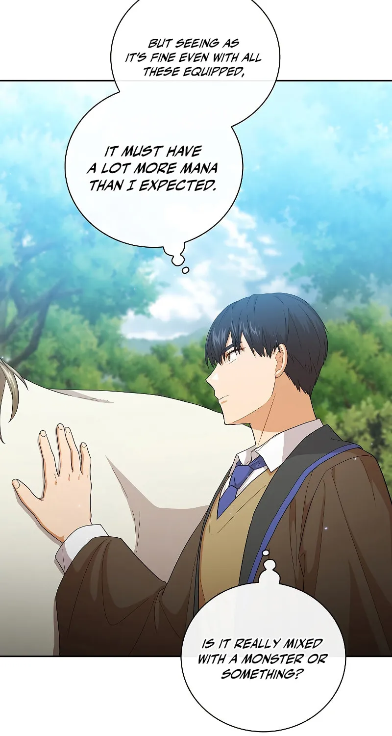 Becoming a Magic School Mage Chapter 50 page 21 - 