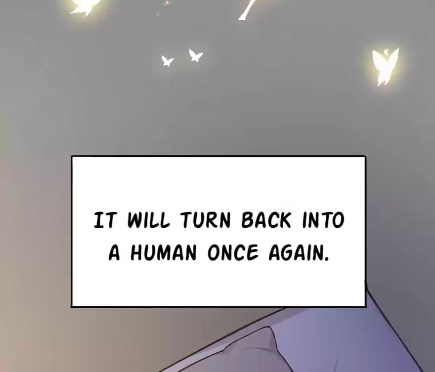 Before Love Kills Me Chapter 47 page 106 - 