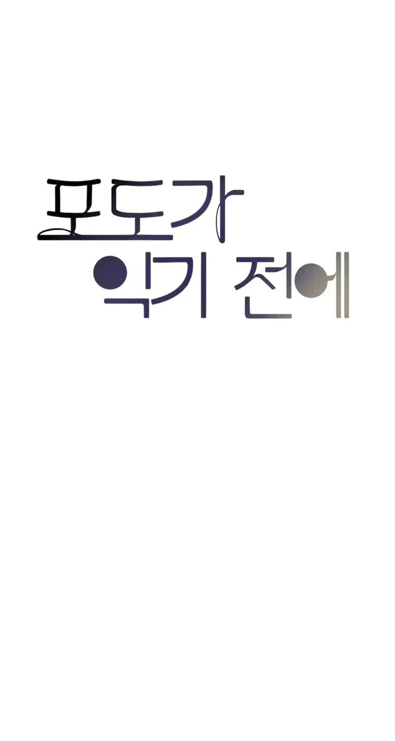 Read Before the grapes ripen chapter 1 image 91 on Lezhin
