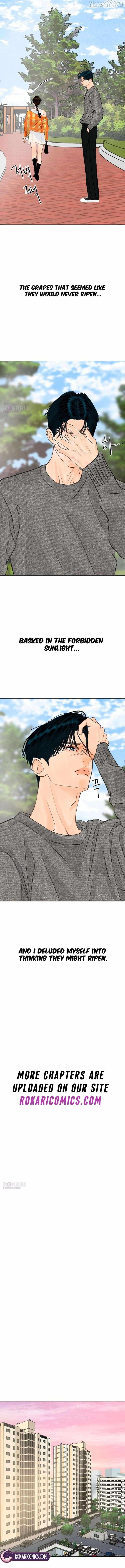 Read Before the grapes ripen chapter 27 image 5 on Lezhin