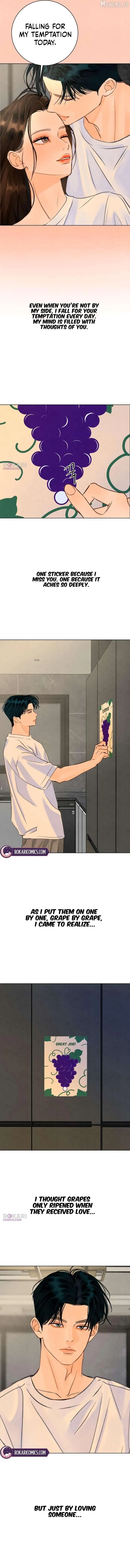 Read Before the grapes ripen chapter 42 image 4 on Lezhin