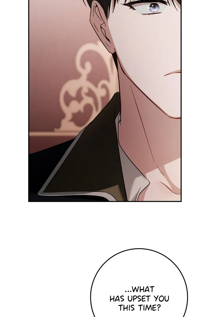 Read Behind Her Highness’s Smile chapter 13 image 20 on Lezhin