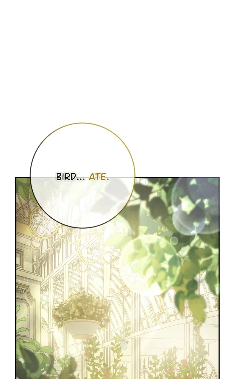 Read Behind Her Highness’s Smile chapter 15 image 12 on Lezhin