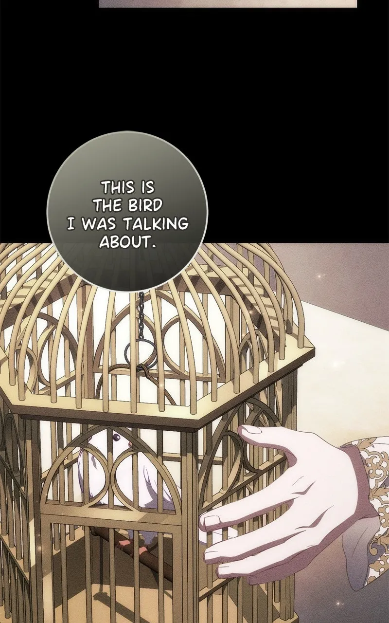 Read Behind Her Highness’s Smile chapter 52 image 111 on Lezhin