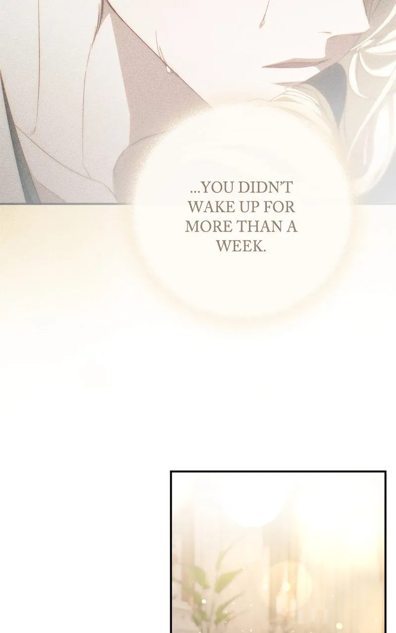 Read Behind Her Highness’s Smile chapter 64 image 39 on Lezhin