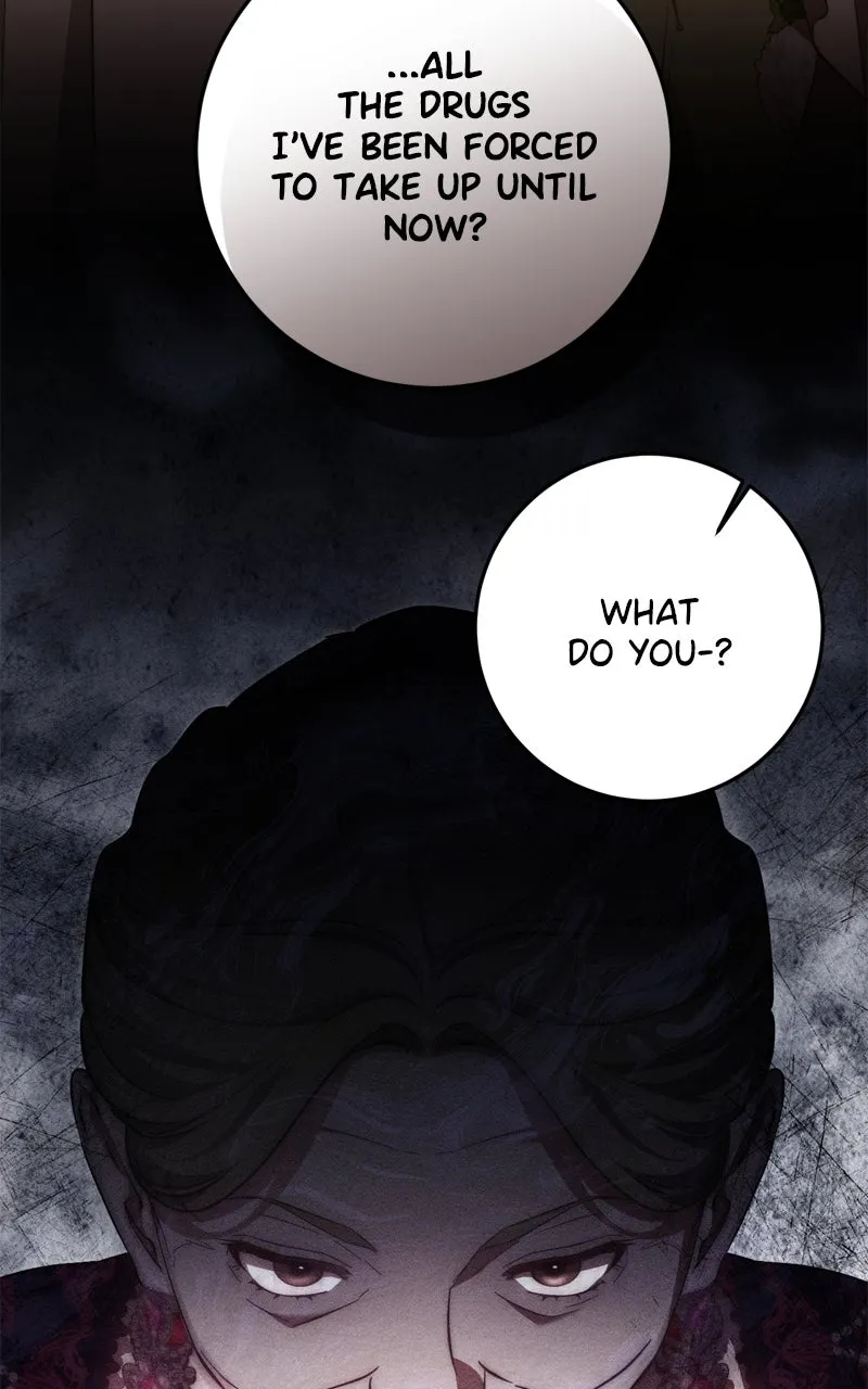 Read Behind Her Highness’s Smile chapter 64 image 46 on Lezhin