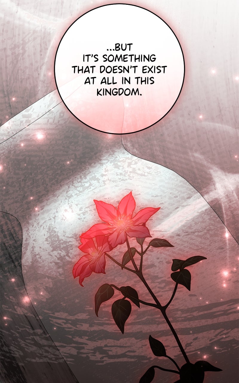 Read Behind Her Highness’s Smile chapter 76 image 95 on Lezhin
