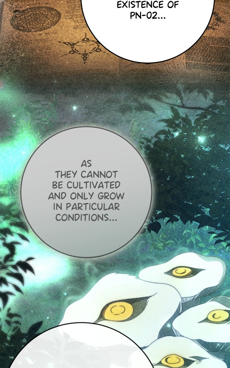 Read Behind Her Highness’s Smile chapter 84 image 87 on Lezhin