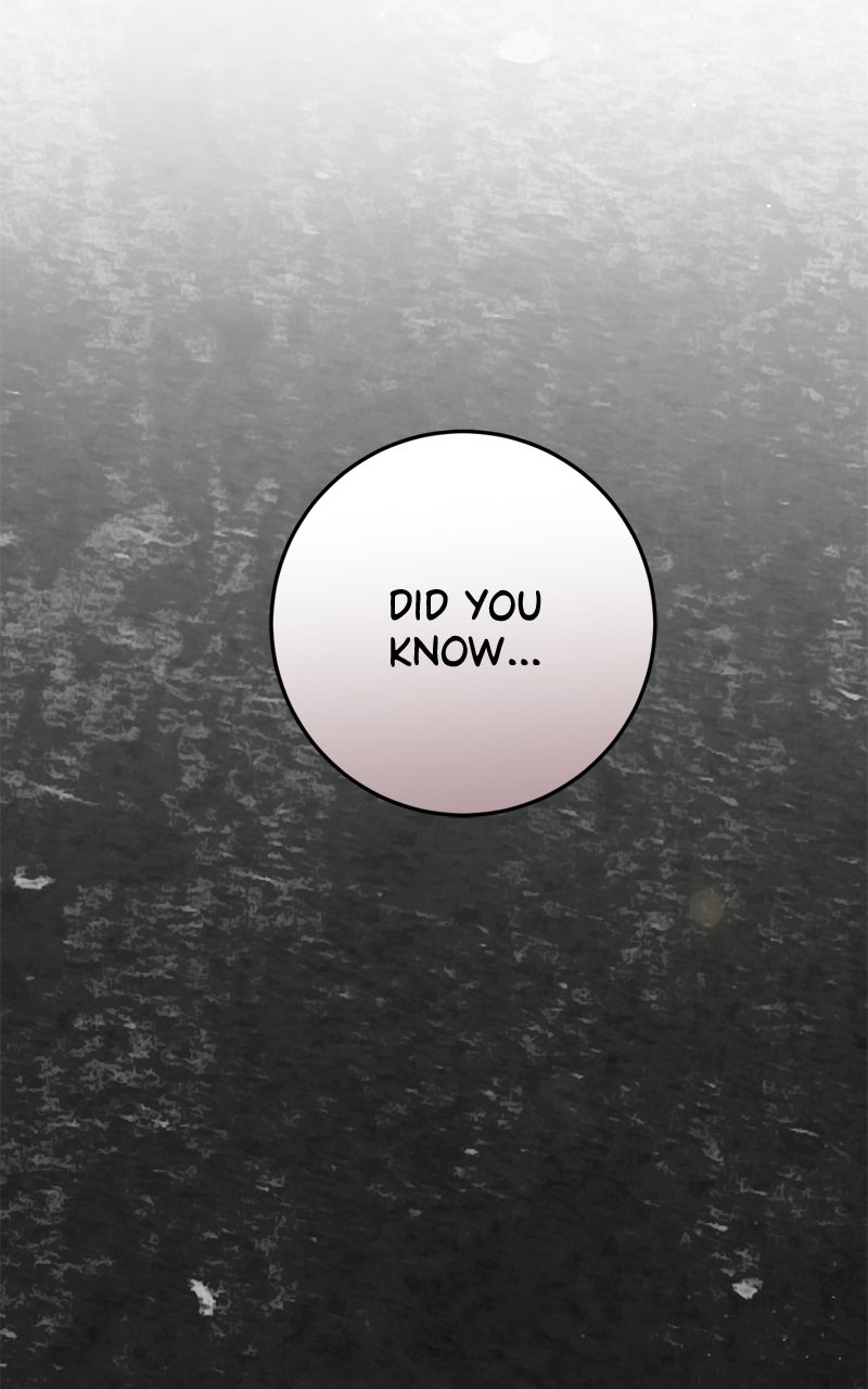 Read Behind Her Highness’s Smile chapter 88 image 120 on Lezhin