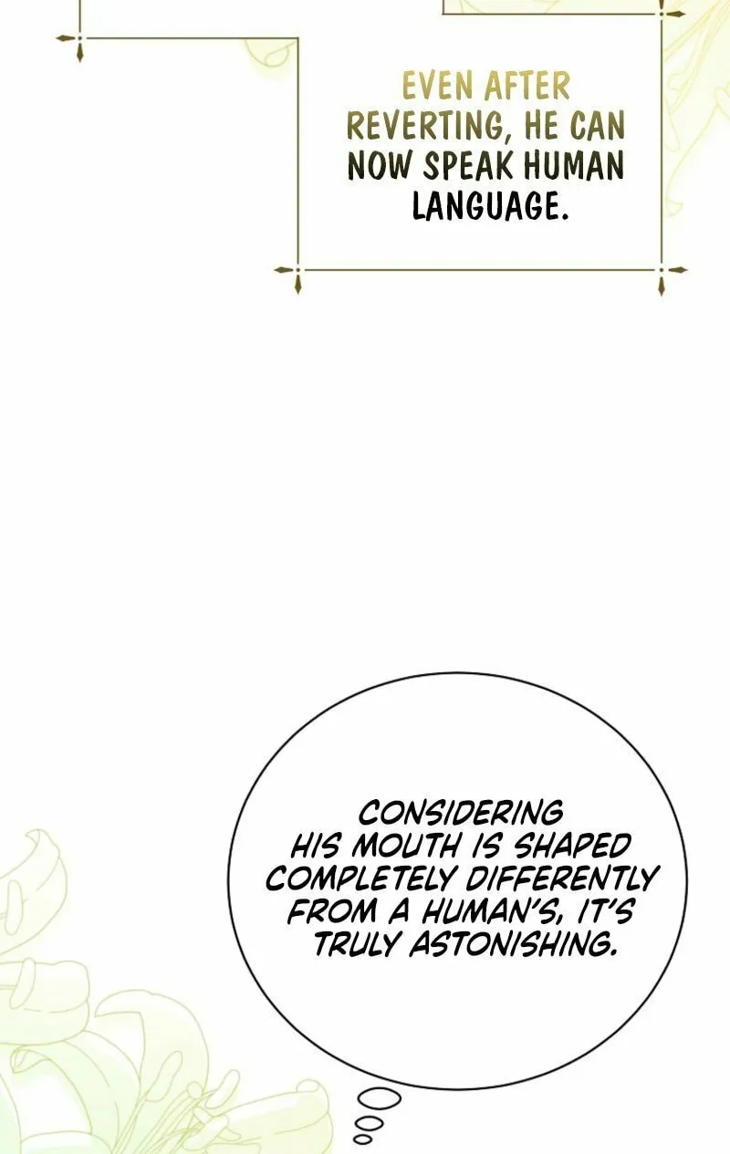 Read Behind His Kind Mask chapter 88 image 39 on Lezhin