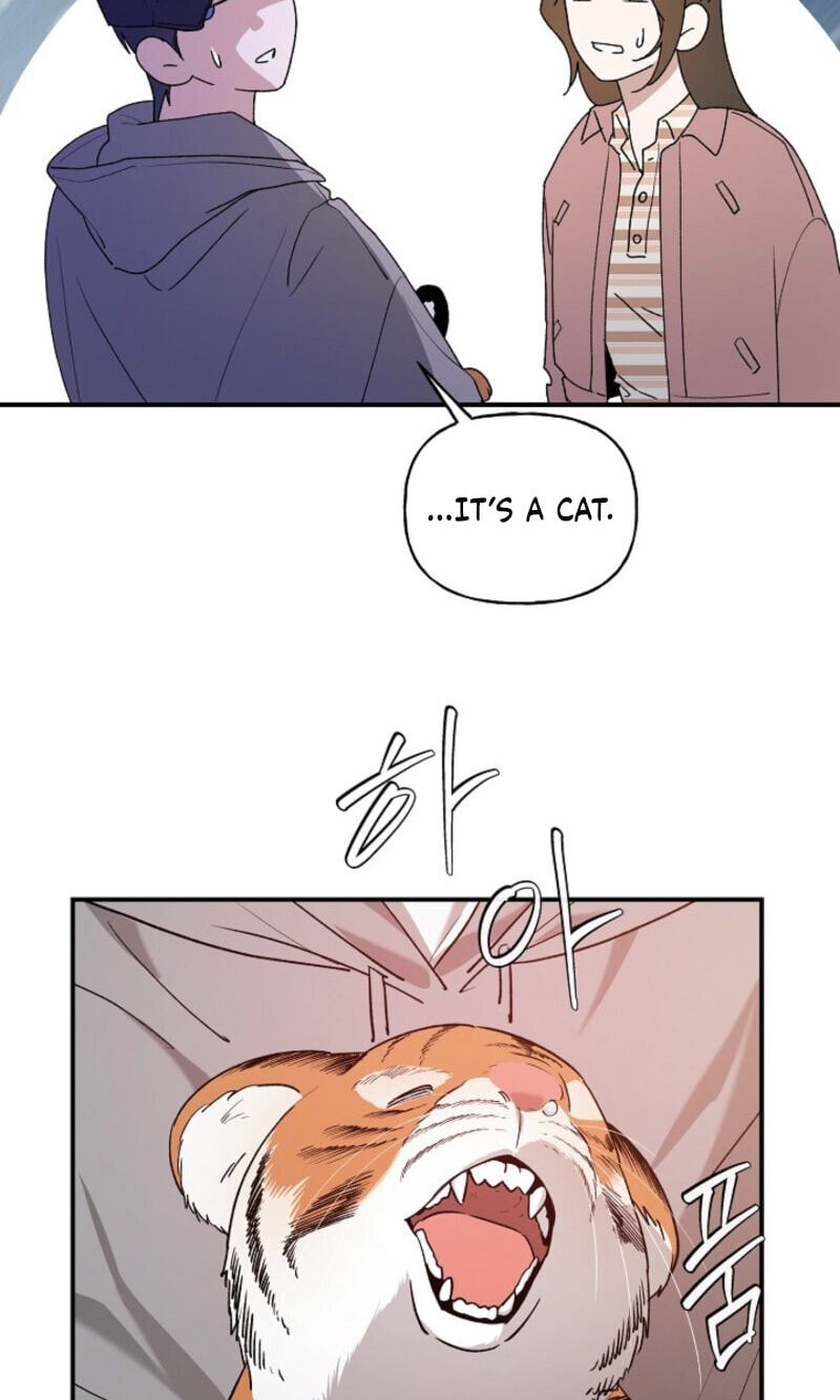 Read Behold, the Tiger chapter 37 image 10 on Lezhin