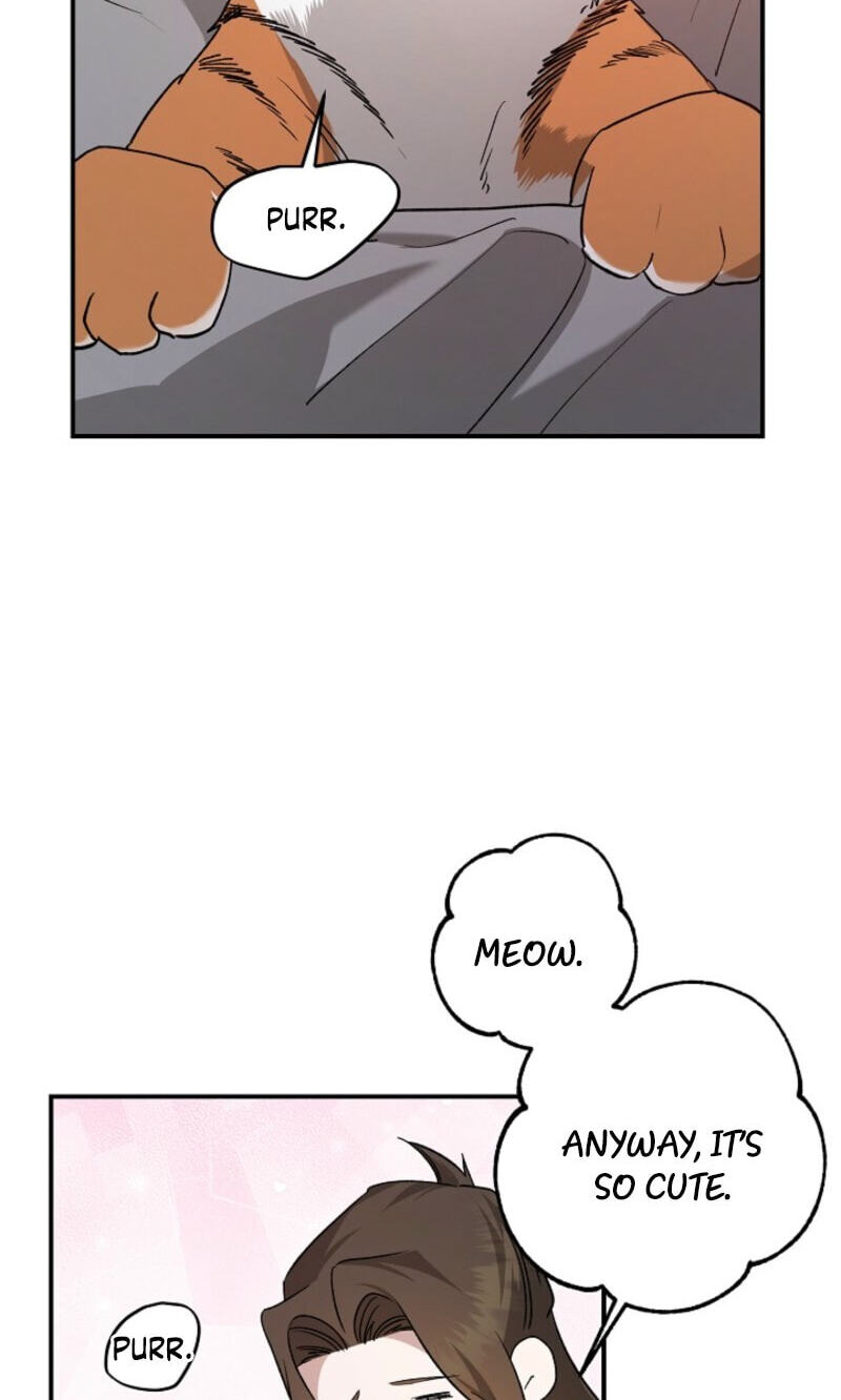 Read Behold, the Tiger chapter 37 image 11 on Lezhin