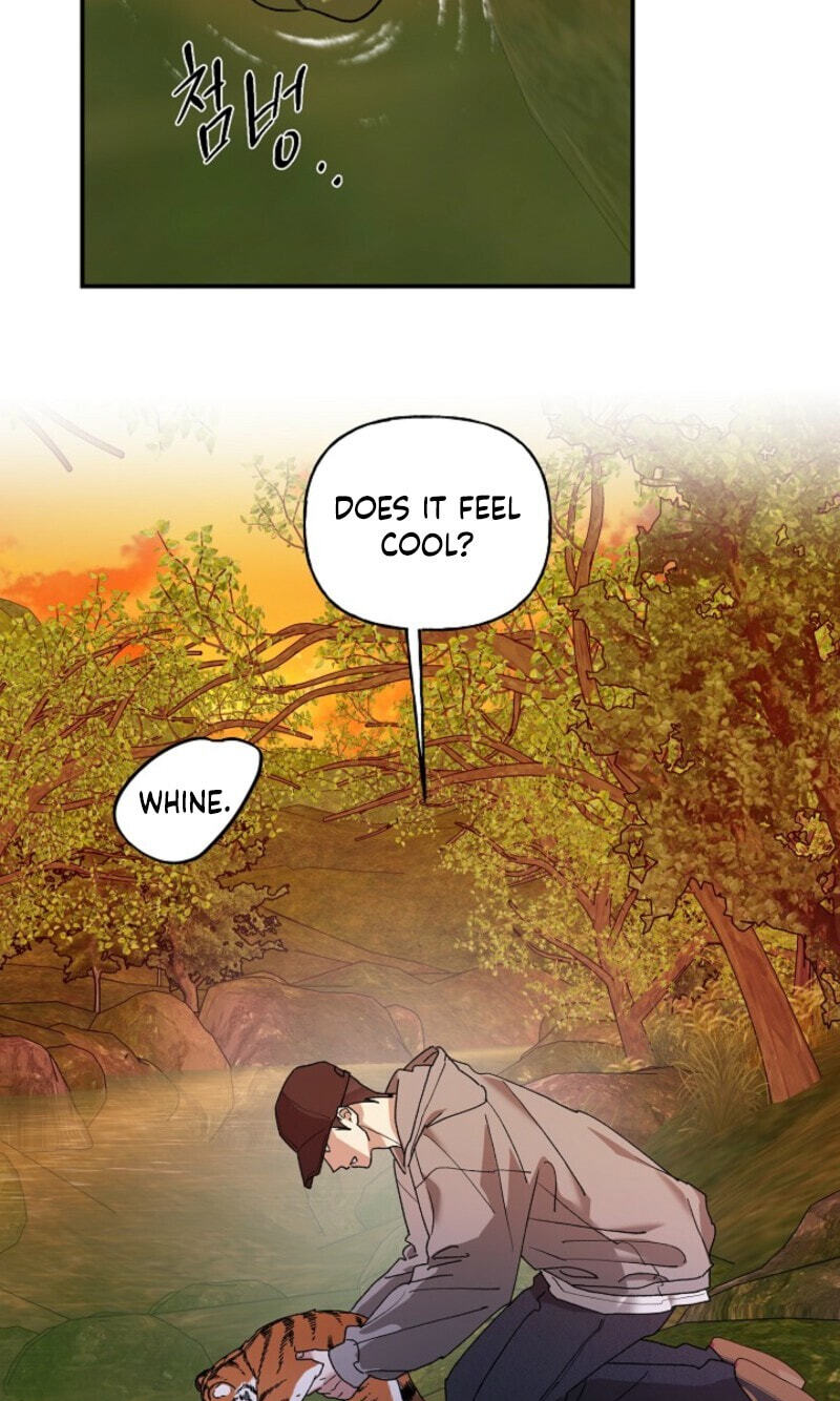 Read Behold, the Tiger chapter 37 image 30 on Lezhin