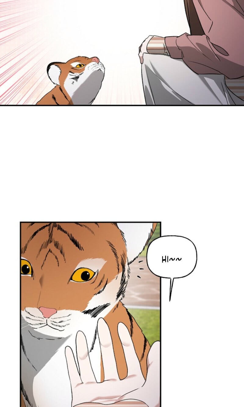 Read Behold, the Tiger chapter 37 image 4 on Lezhin