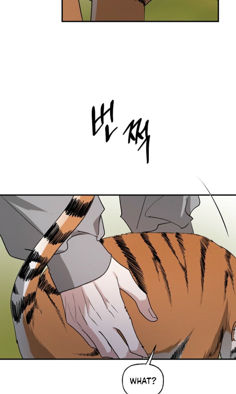 Read Behold, the Tiger chapter 37 image 6 on Lezhin