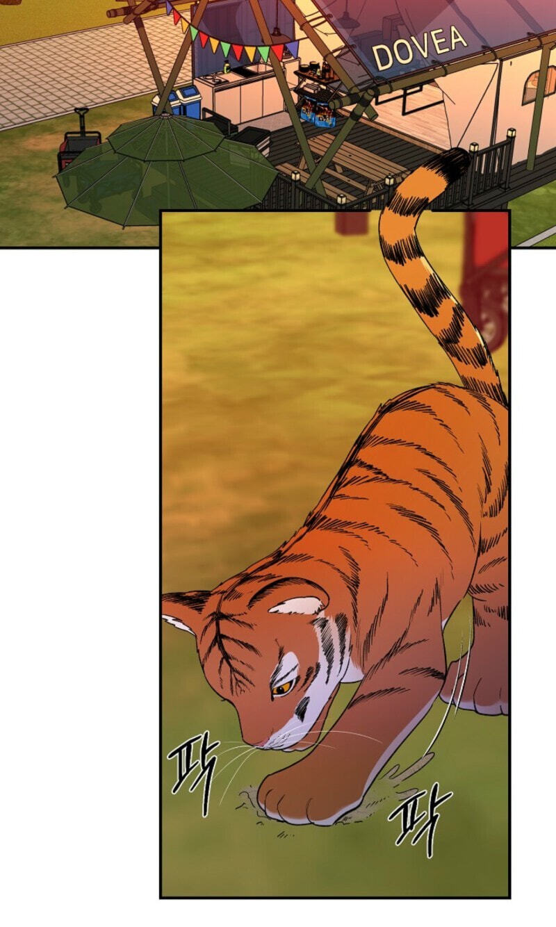 Read Behold, the Tiger chapter 37 image 60 on Lezhin