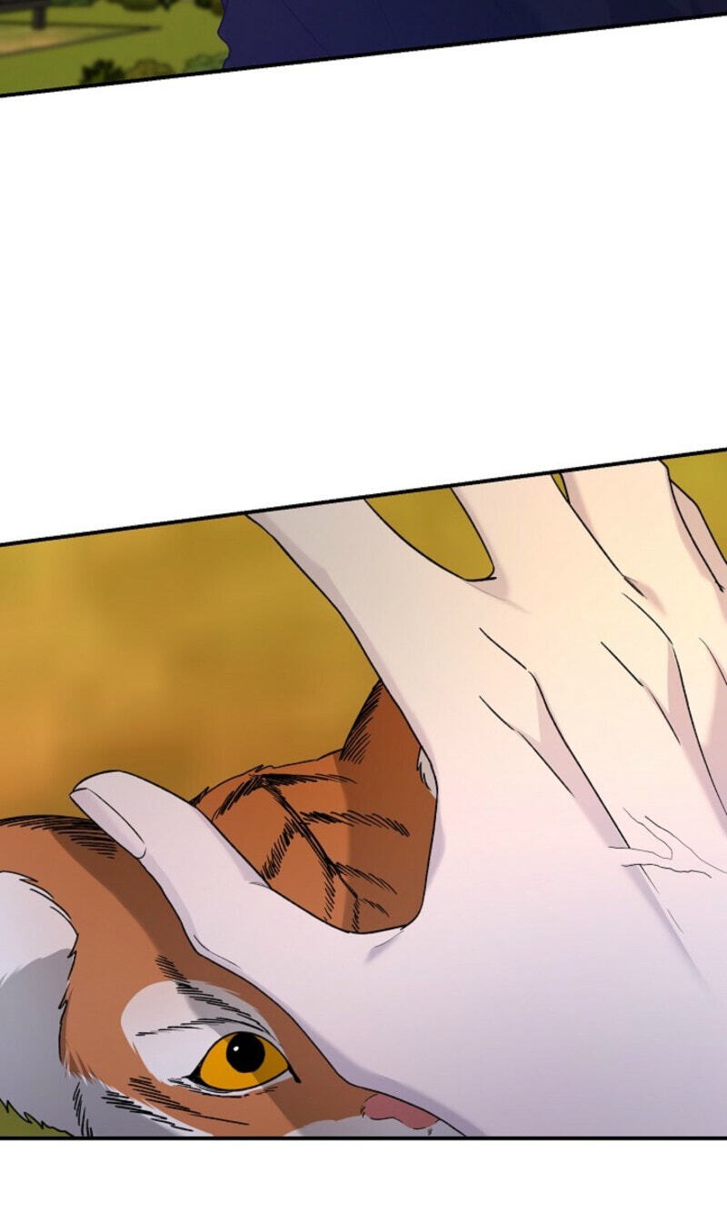 Read Behold, the Tiger chapter 37 image 63 on Lezhin
