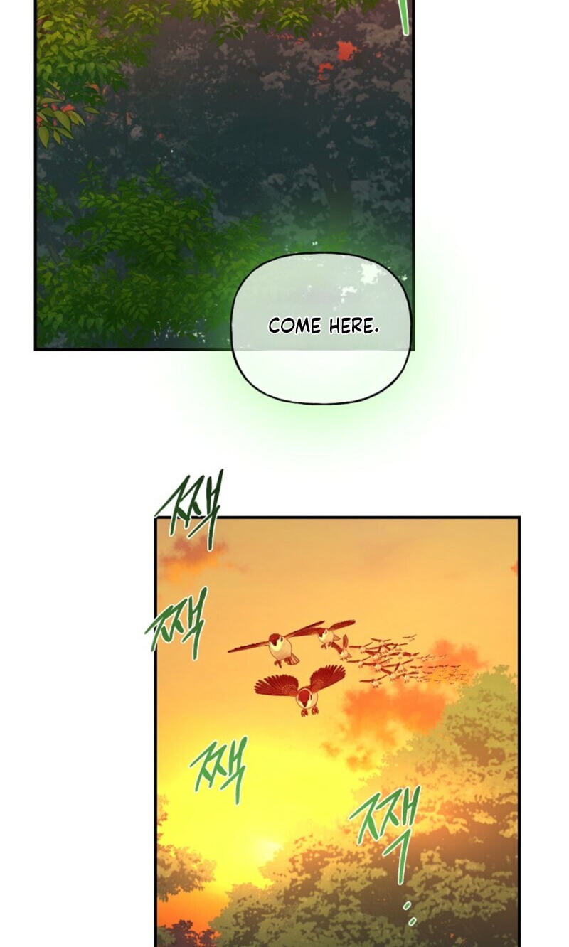 Read Behold, the Tiger chapter 39 image 11 on Lezhin
