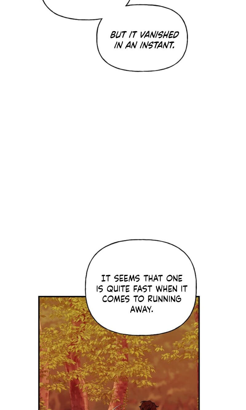 Read Behold, the Tiger chapter 39 image 5 on Lezhin