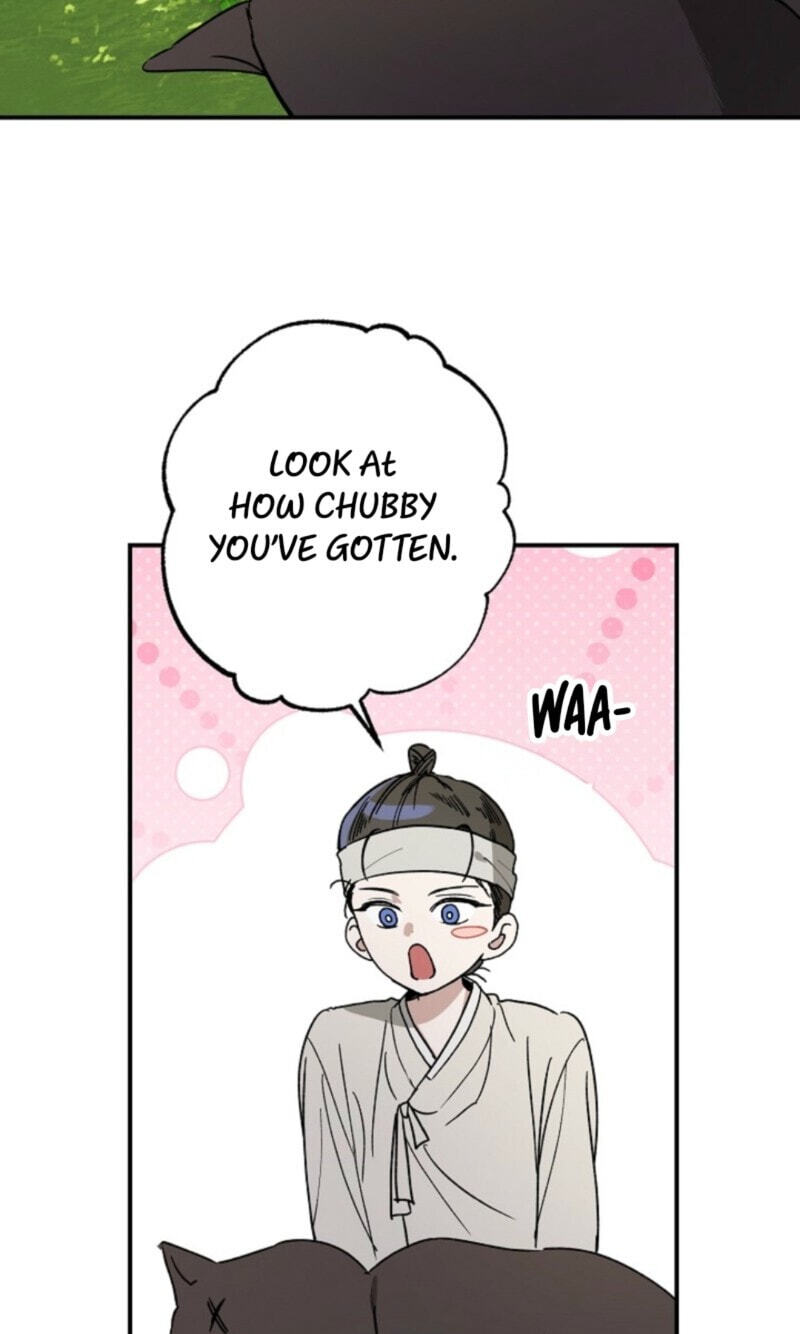 Read Behold, the Tiger chapter 44 image 6 on Lezhin