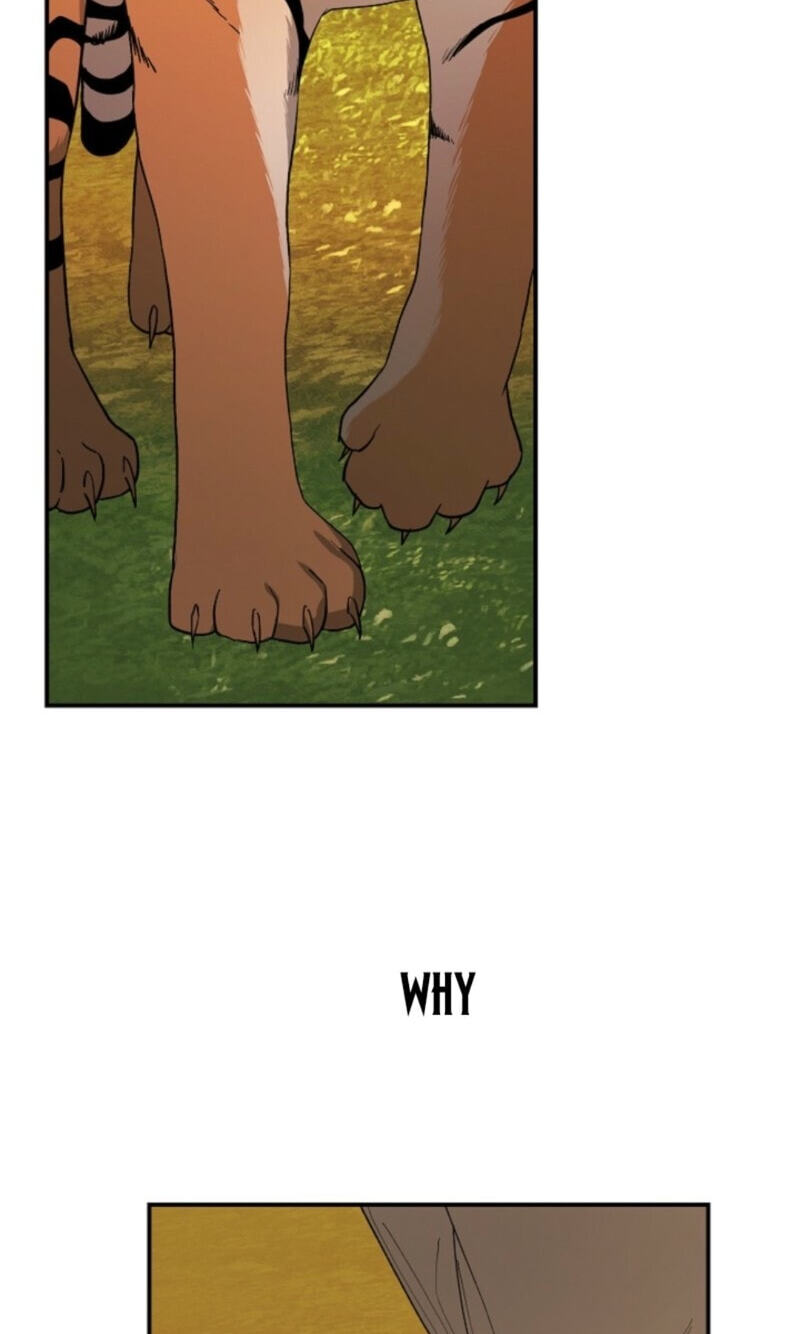 Read Behold, the Tiger chapter 45 image 1 on Lezhin