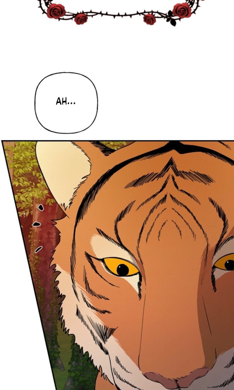 Read Behold, the Tiger chapter 45 image 6 on Lezhin