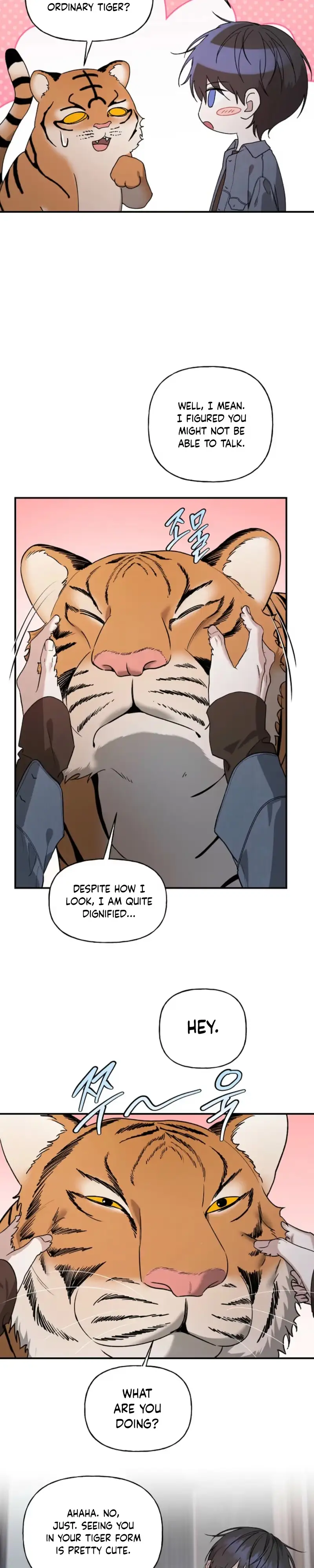 Read Behold, the Tiger chapter 51 image 15 on Lezhin