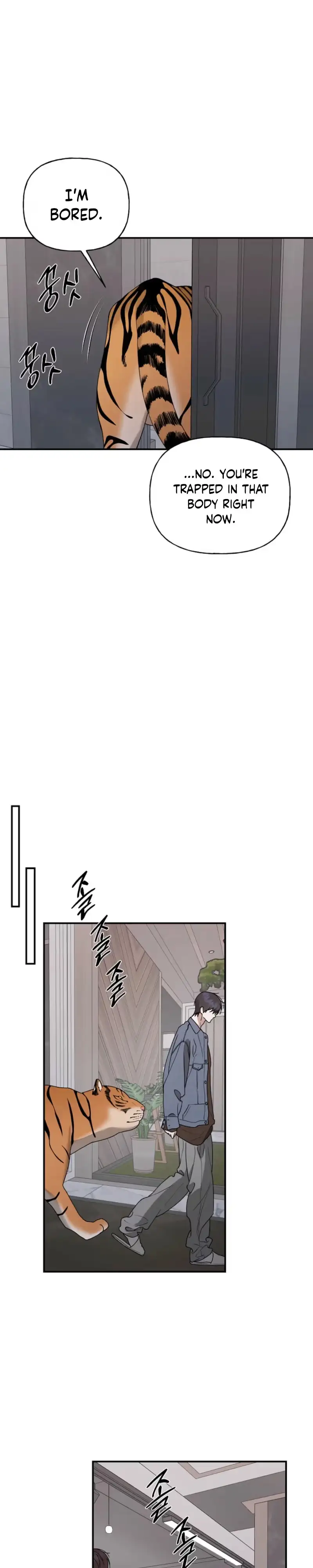 Read Behold, the Tiger chapter 51 image 19 on Lezhin