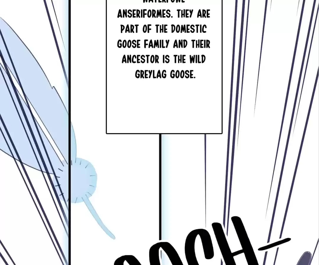 Read Berich, Beloved (Colored) chapter 19 image 16 on Lezhin