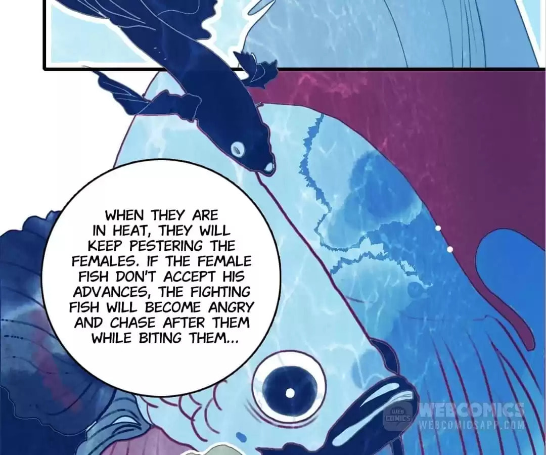 Read Berich, Beloved (Colored) chapter 38 image 89 on Lezhin