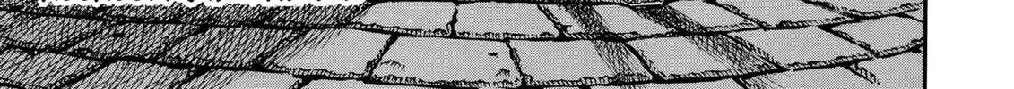 Read Berserk chapter 11 image 45 on Lezhin
