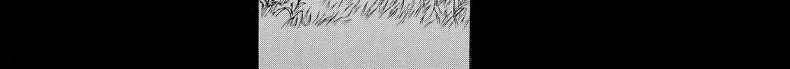 Read Berserk chapter 116 image 37 on Lezhin
