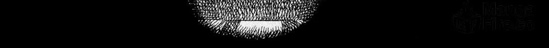 Read Berserk chapter 12 image 29 on Lezhin