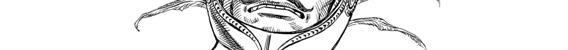 Read Berserk chapter 145 image 7 on Lezhin