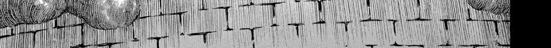 Read Berserk chapter 173 image 1 on Lezhin