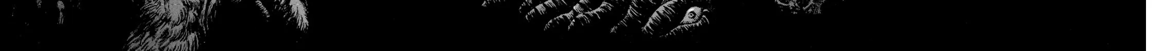 Read Berserk chapter 215 image 31 on Lezhin