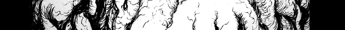 Read Berserk chapter 219 image 13 on Lezhin