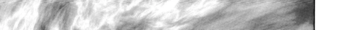 Read Berserk chapter 229 image 37 on Lezhin