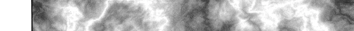 Read Berserk chapter 233 image 13 on Lezhin