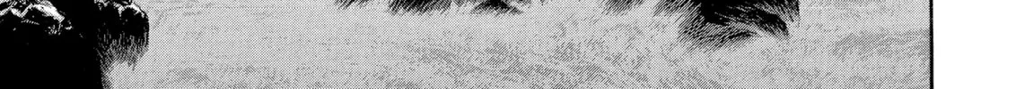 Read Berserk chapter 236 image 37 on Lezhin