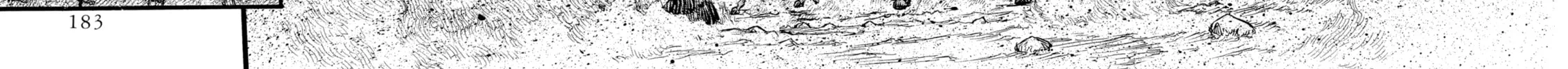 Read Berserk chapter 24 image 31 on Lezhin