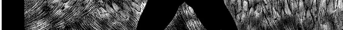 Read Berserk chapter 242 image 15 on Lezhin