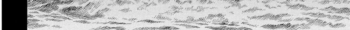 Read Berserk chapter 242 image 3 on Lezhin