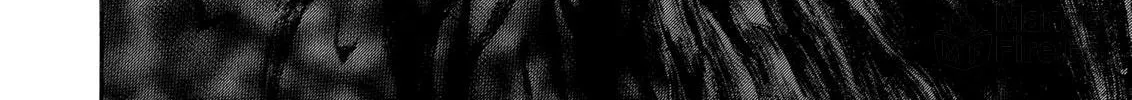 Read Berserk chapter 243 image 11 on Lezhin