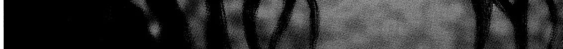 Read Berserk chapter 243 image 7 on Lezhin