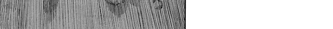 Read Berserk chapter 249 image 1 on Lezhin